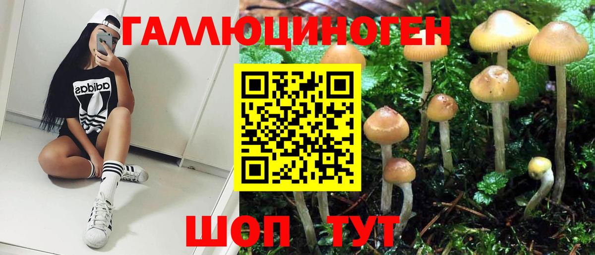 Галлюциногенные грибы Psilocybine cubensis  Псилоцибиновые грибы ЛСД  Тулун  Вход с VPN 