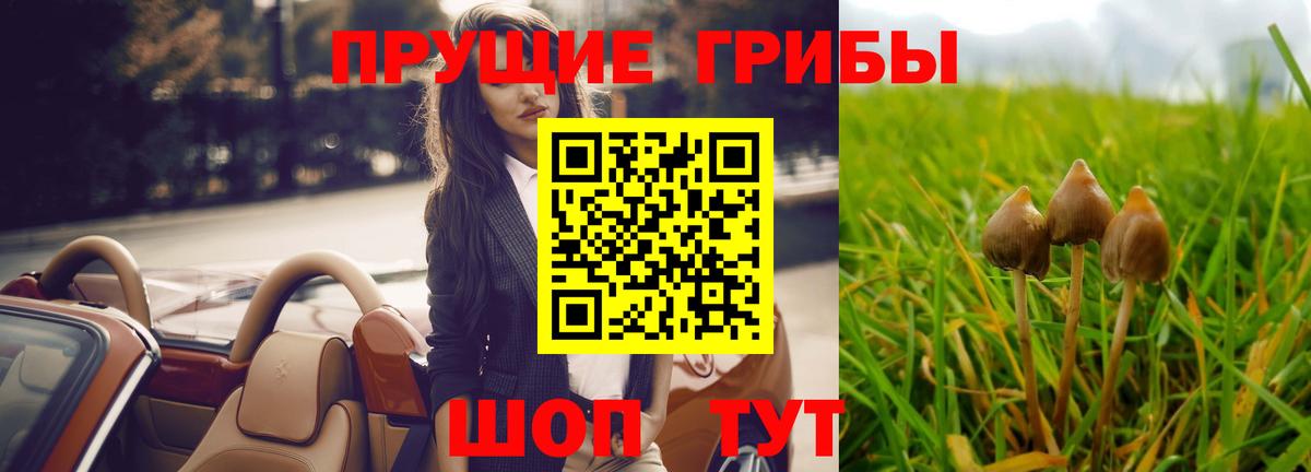 Галлюциногенные грибы мицелий Тулун